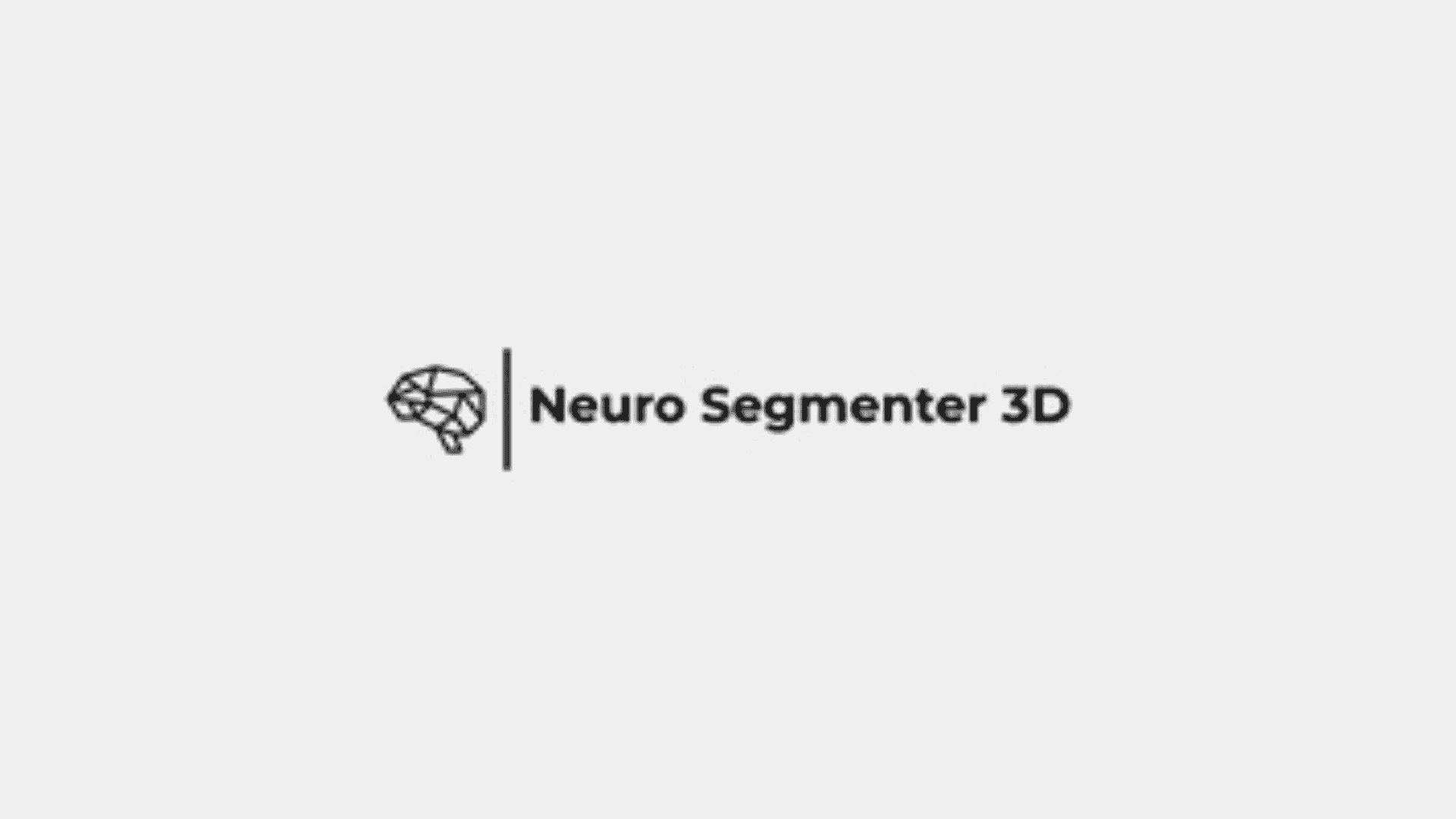 NeuroSegmenter3D Hover